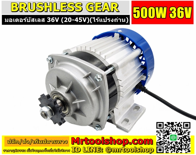 Brushless Motor DC 500W 36V